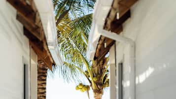 Playa privada, playa de arena blanca y camas de playa gratuitas