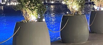 main swimming pool, beach, Marina, shopping, dining and night life,… are 2 steps