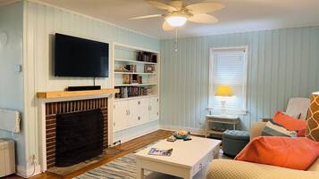 TV connectée, cheminée, livres, chaßne hi-fi