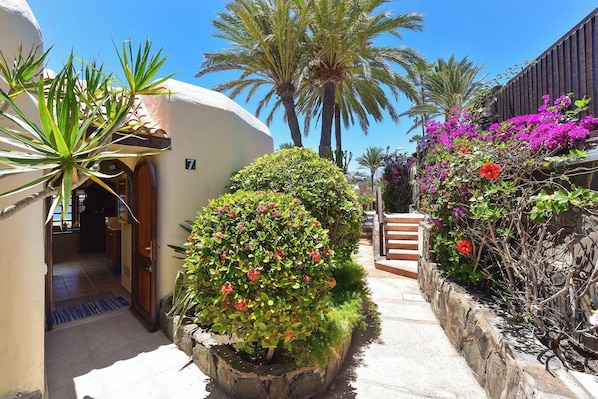 Un sendero estrecho bordeado por una jardinera de piedra con un arbusto y una palmera.