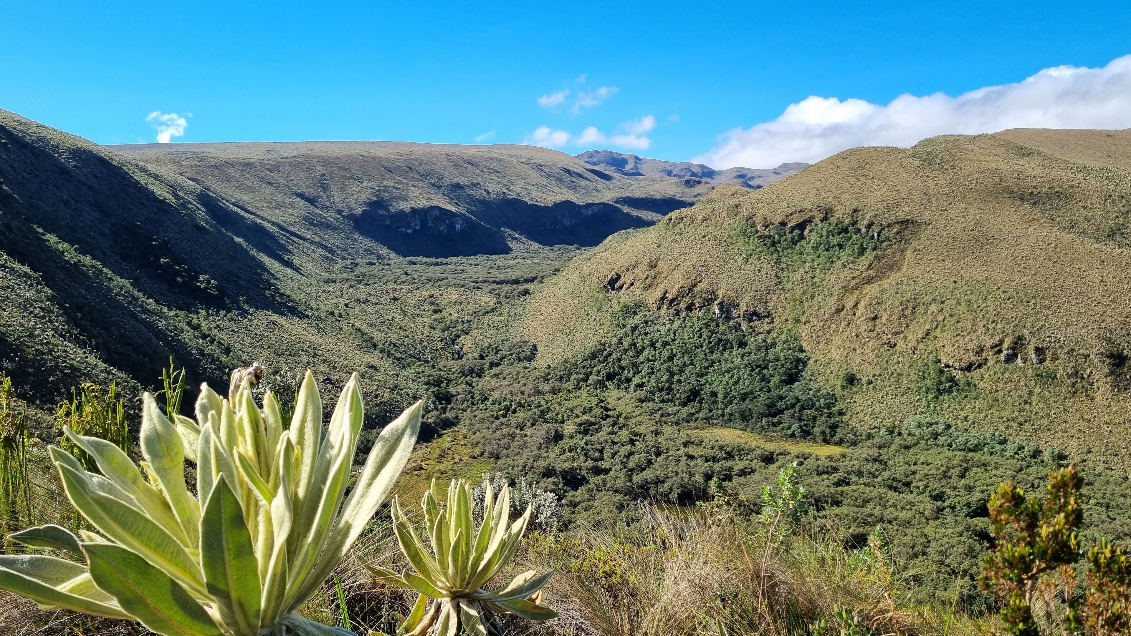 A mountainous landscape with dense vegetation and a clear sky.