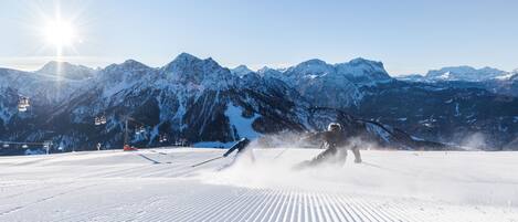 Sneeuw- en skisporten