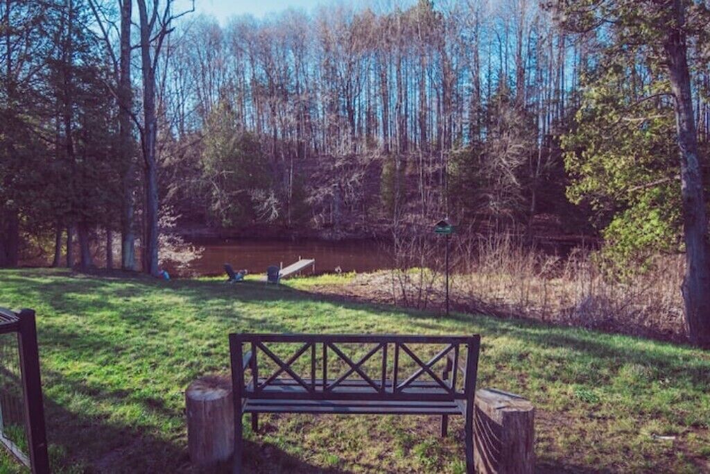 A park with a wooden bench, a small pond, and trees in the background.