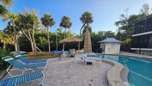 Un área junto a la piscina con sillones de descanso, una piscina pequeña y palmeras.