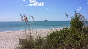 海灘、躺椅、沙灘巾