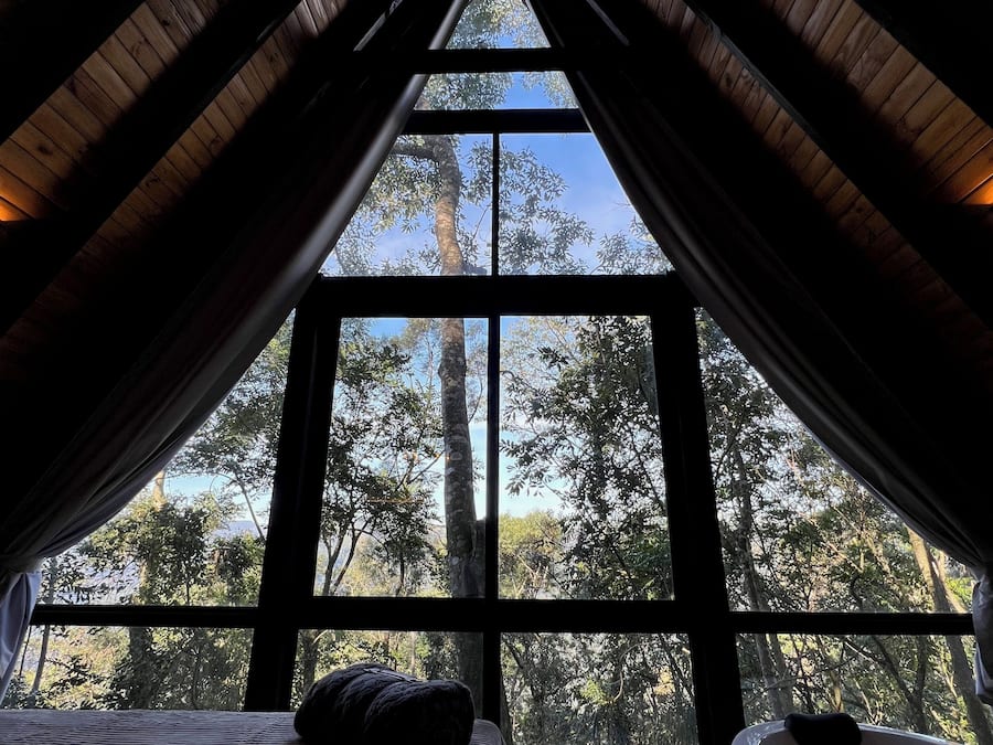 Vista desde la habitación