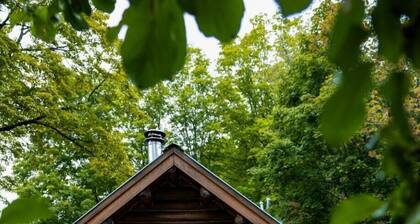 Hiking, paddling haven! Free Boats, Shared Bath & Sauna, Private Cabin