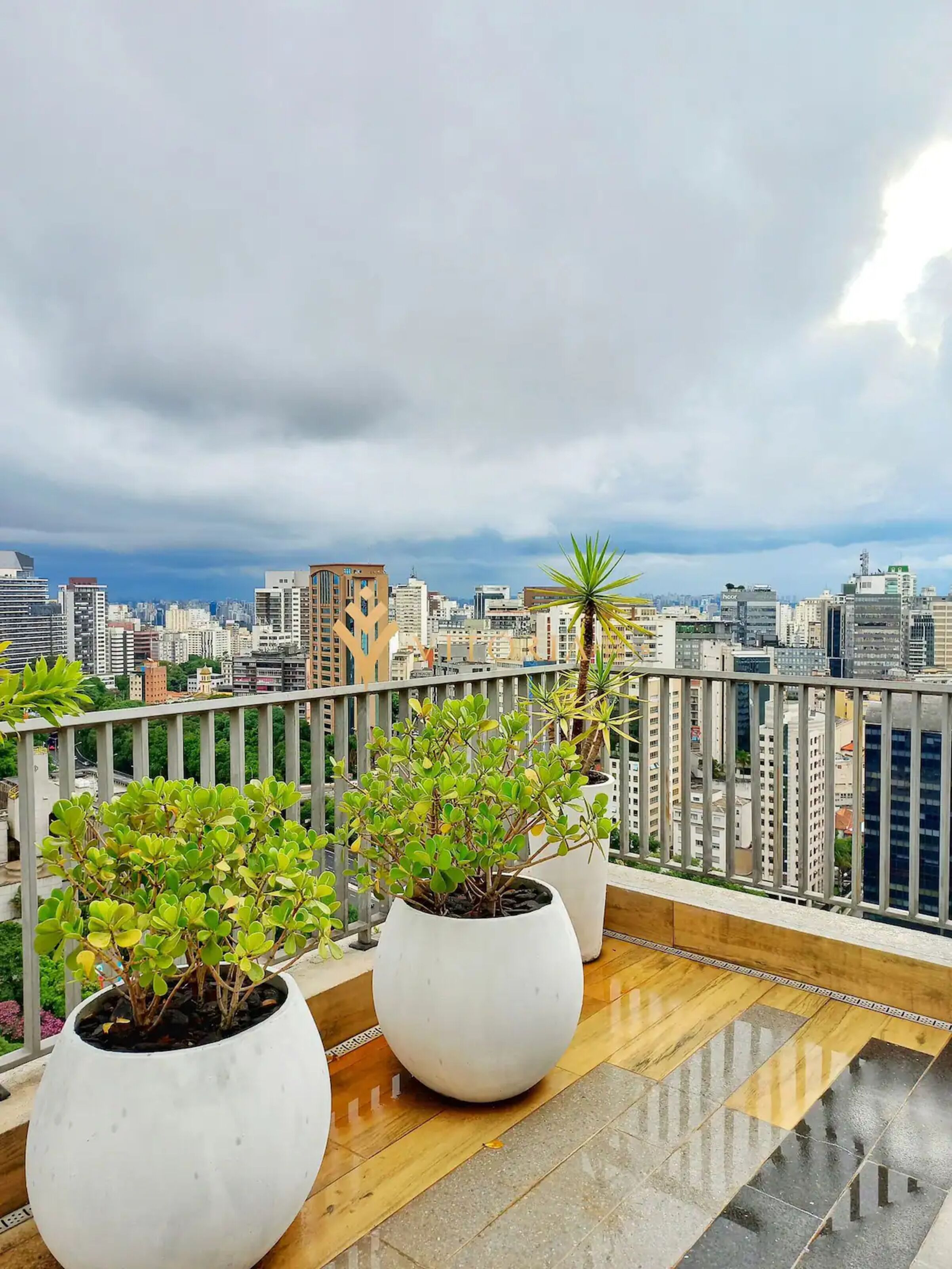 Área da propriedade