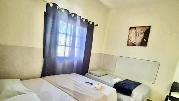 A hotel room with a large bed, a smaller bed, a ceiling fan, a window with curtains, a wall-mounted picture, and a small rug.