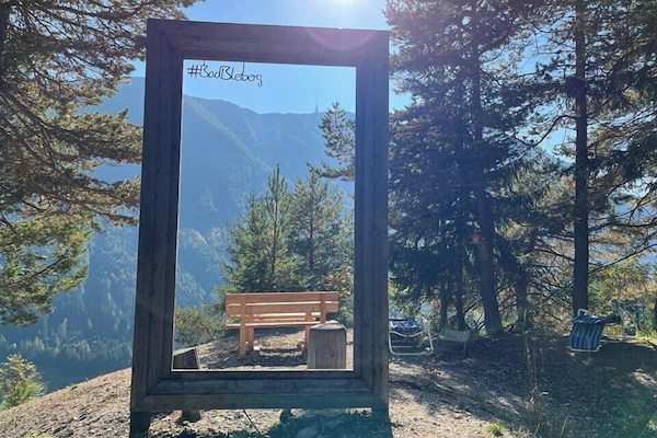 เดินป่า