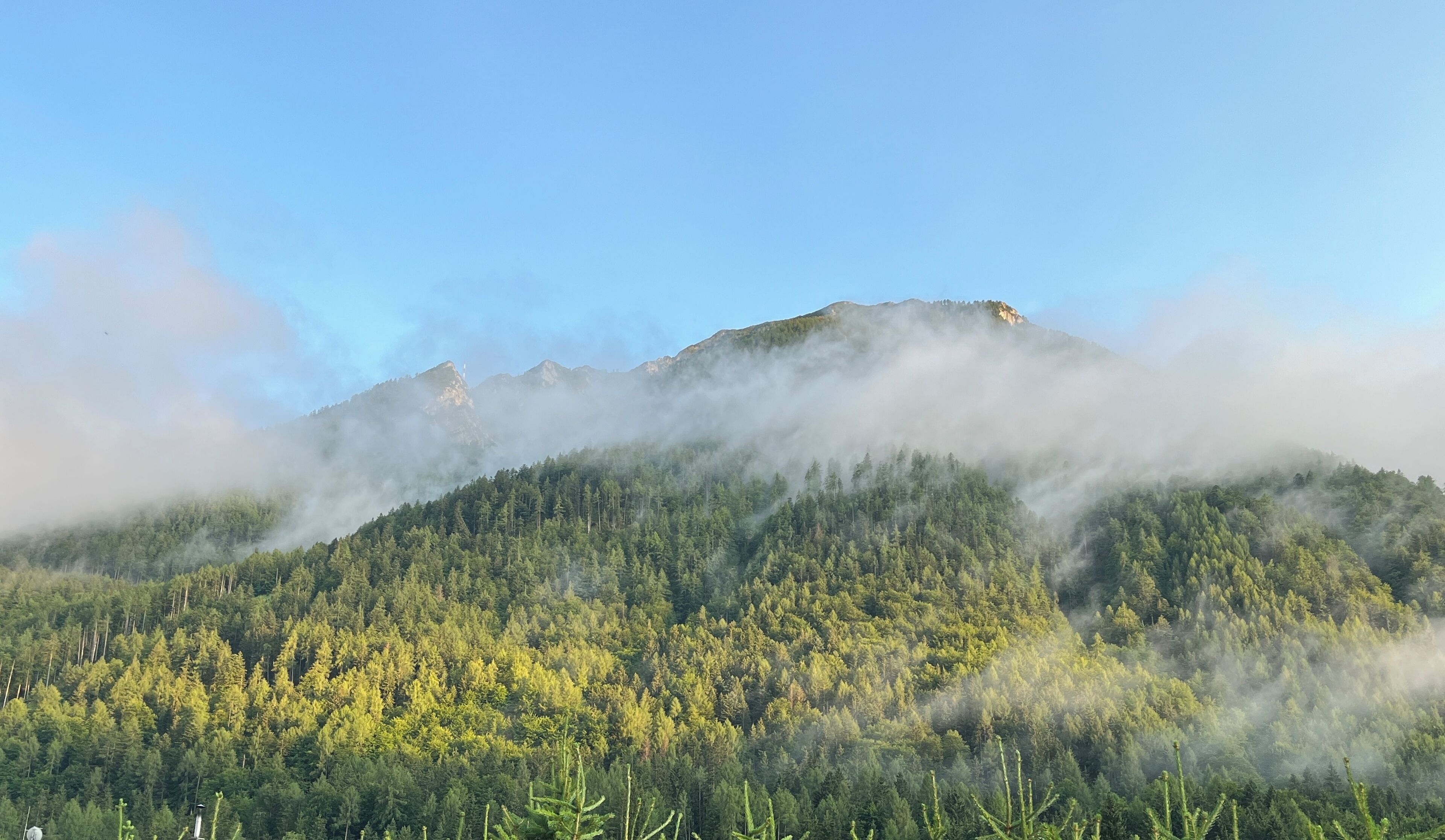 A mountainous landscape with dense forest and mist-covered peaks.