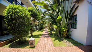 A brick pathway leading to a building with a white exterior, surrounded by lush greenery and banana plants. - Riverside Bamboo Resort - Hoi An (Da Nang)