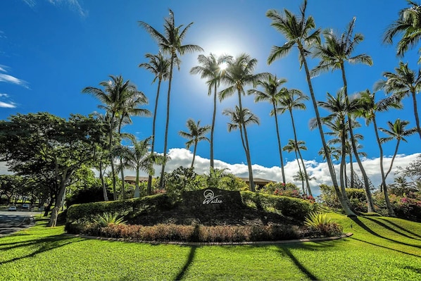 A landscaped area with palm trees and a sign that reads "Wailea."