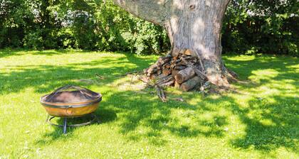 Owl's Nest - A Rochester Escape! RIT & UoR Nearby!