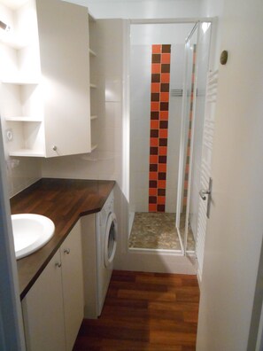 Shower, hair dryer, soap, toilet paper