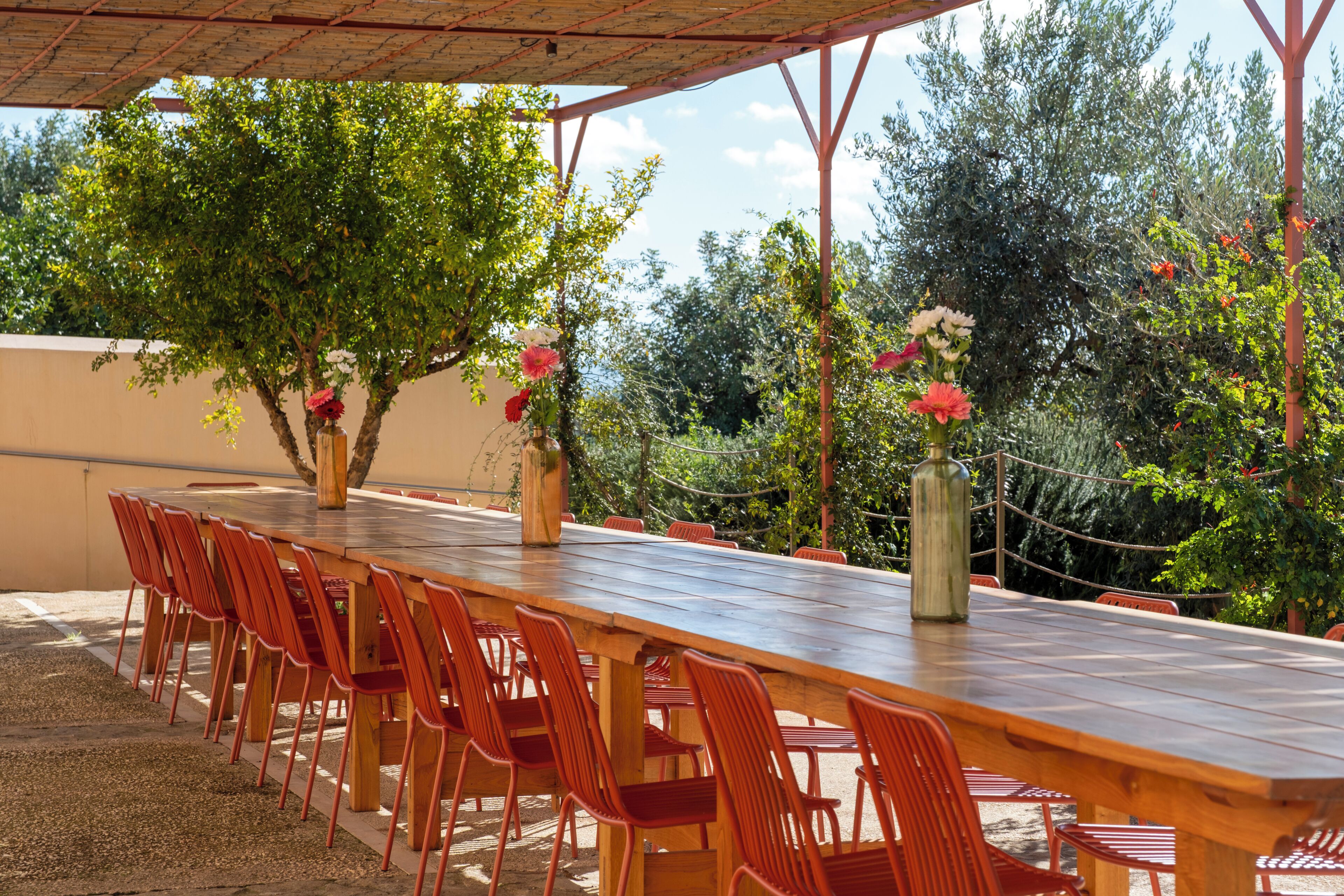 An outdoor dining area with a long wooden table and red chairs, surrounded by greenery and trees.