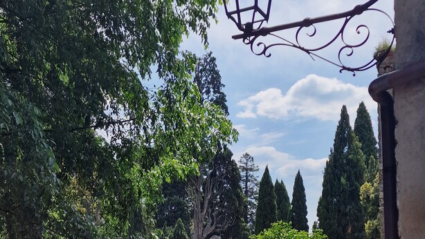 A garden with a lamppost, neatly trimmed hedges, and a variety of trees. - Vicolo d'Este (Tivoli)