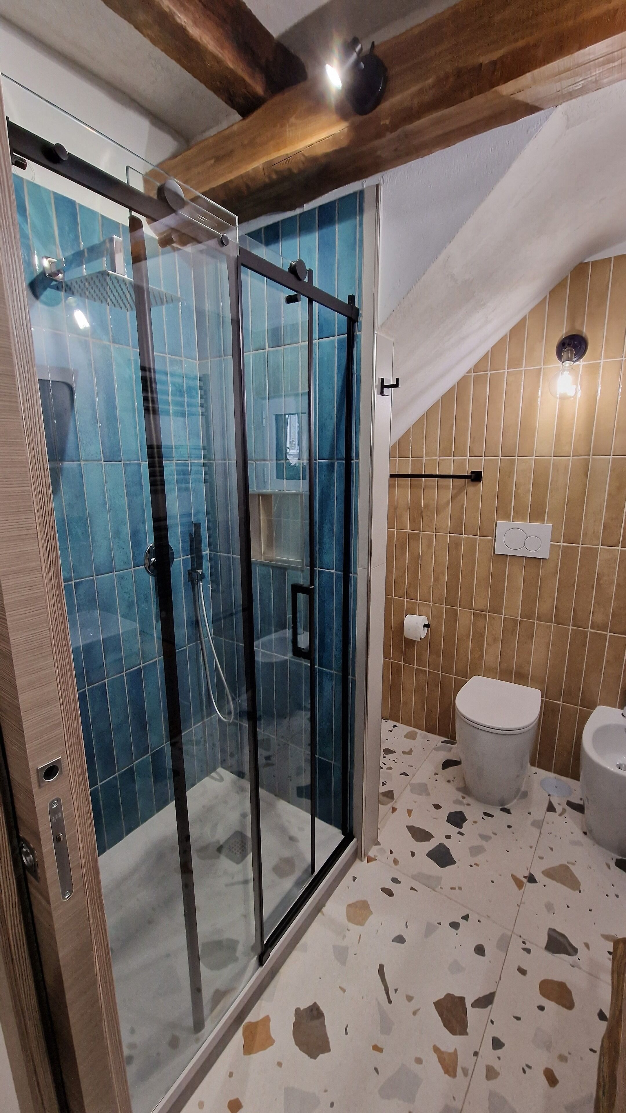 Shower, hair dryer, bidet, towels