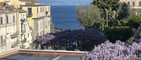 A hotel with a view of the sea, named 'La Pergola'.