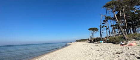 海滩