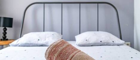 1 chambre, bureau, fer et planche à repasser, lit parapluie