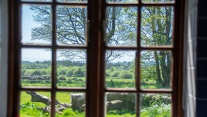 Una ventana con vistas a un paisaje verde, que incluye árboles y un campo.