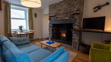 Télévision, cheminée