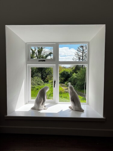 Corrys House Irishes Cottage Mitten im Grünen