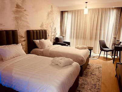 Downtown Hotel-Palestine 