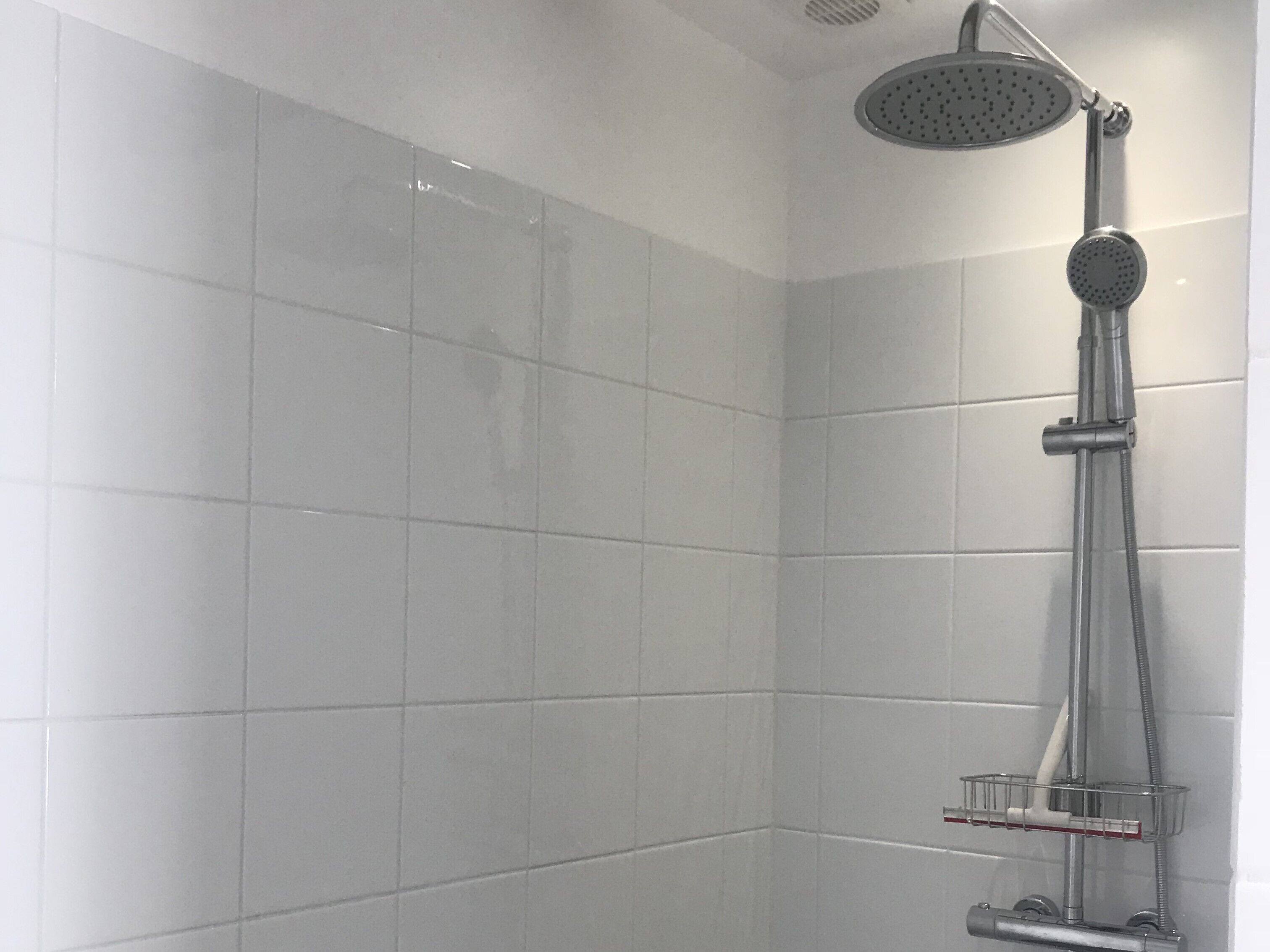Una ducha moderna con un cabezal de ducha manual y otro fijo en el techo.