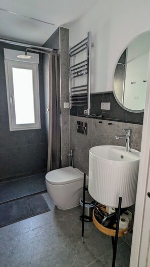 A modern bathroom with a toilet, a sink, and a shower area.