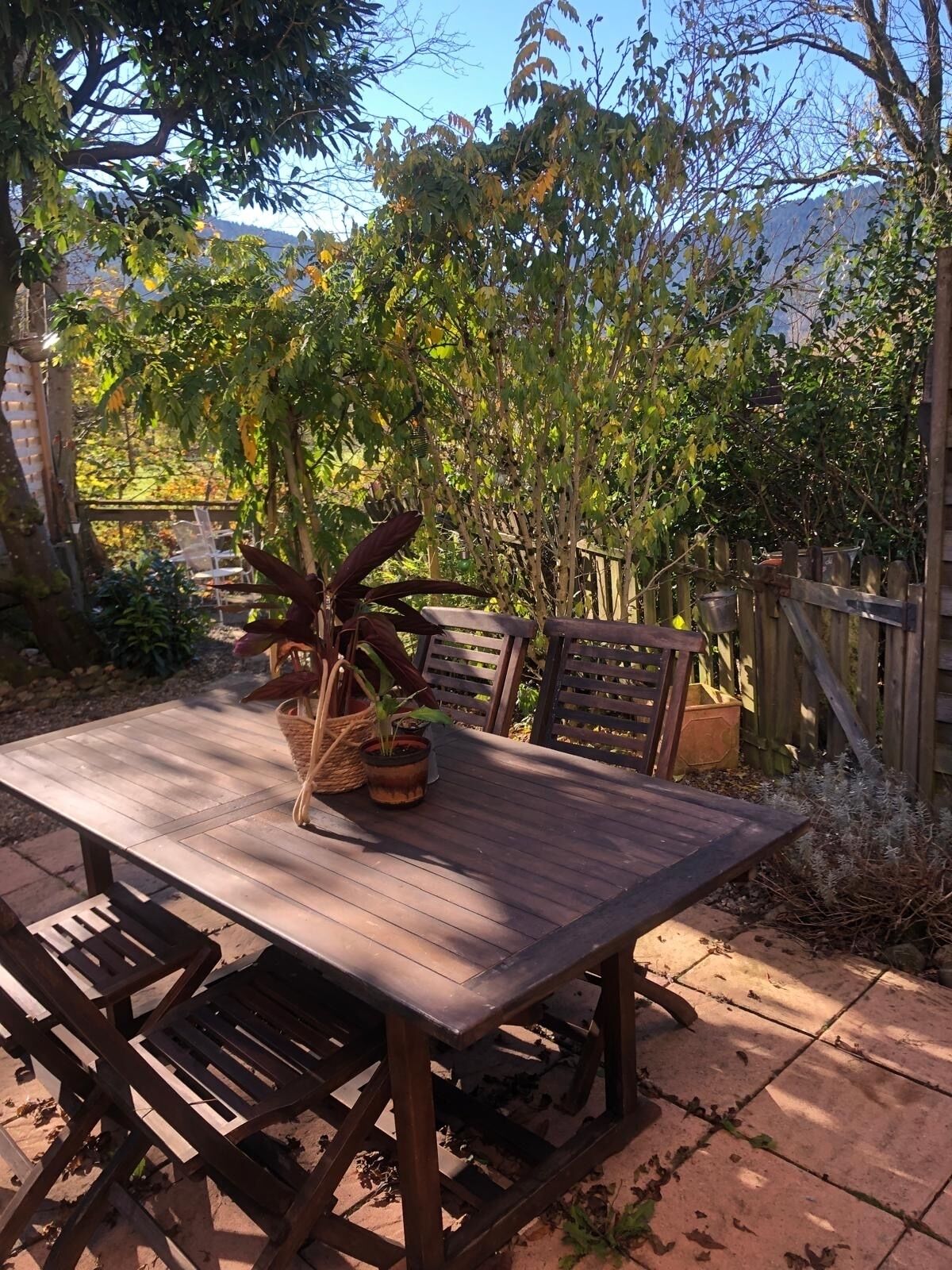 Opções para refeição ao ar livre