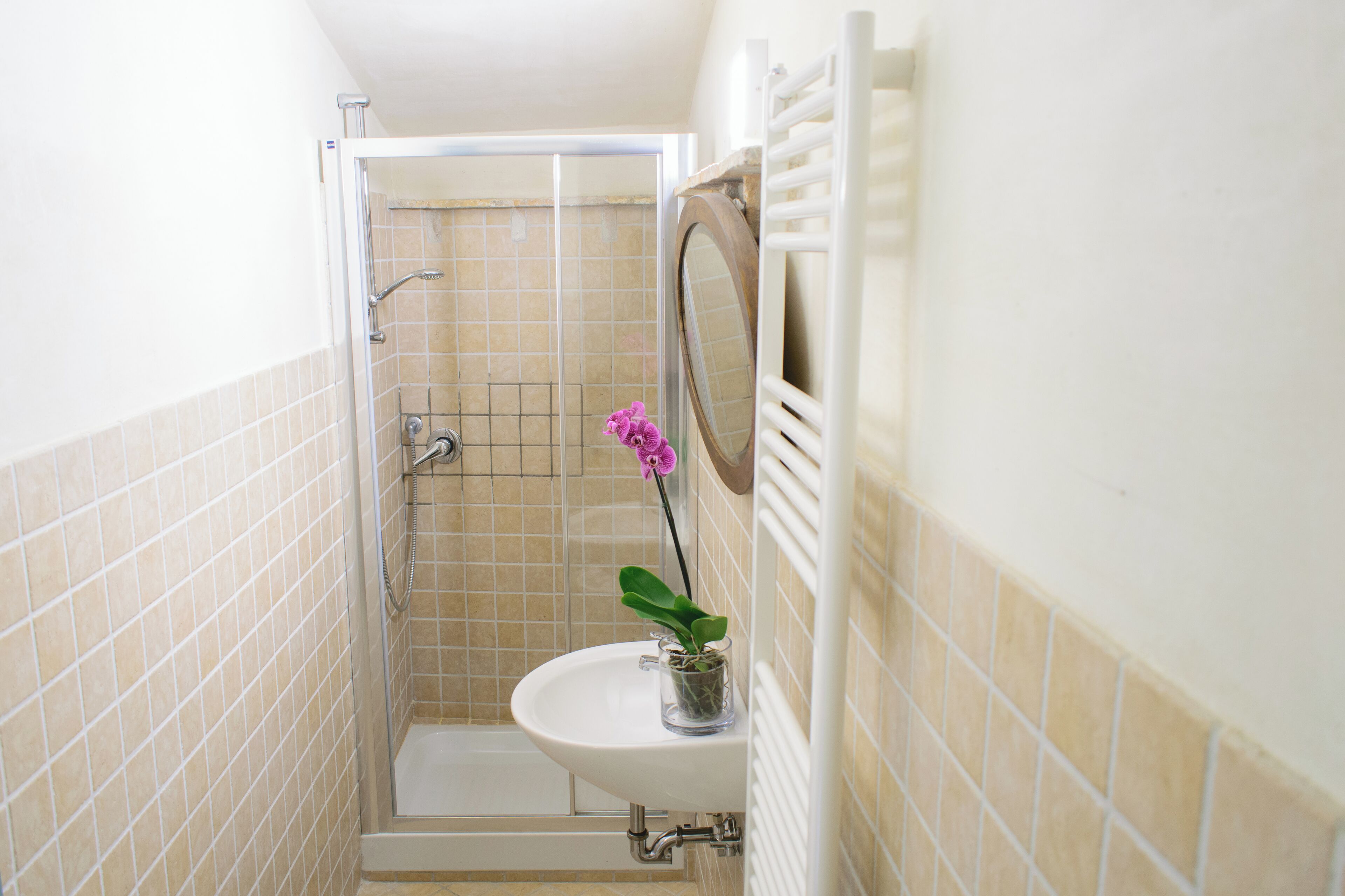 A bathroom with a shower, a sink, and a mirror.