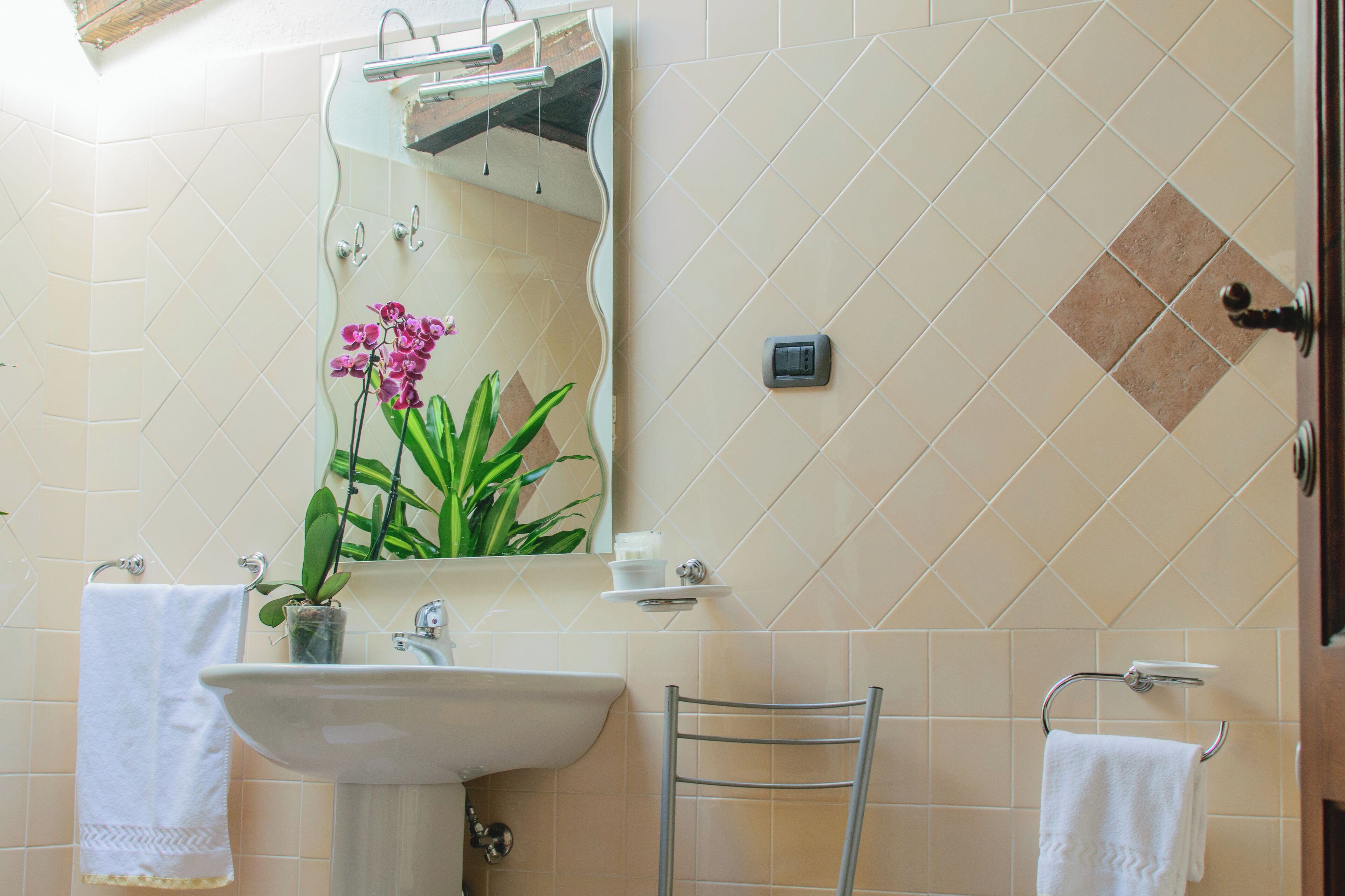 Un baño con lavamanos, espejo, perchero para toallas y una orquídea en maceta.