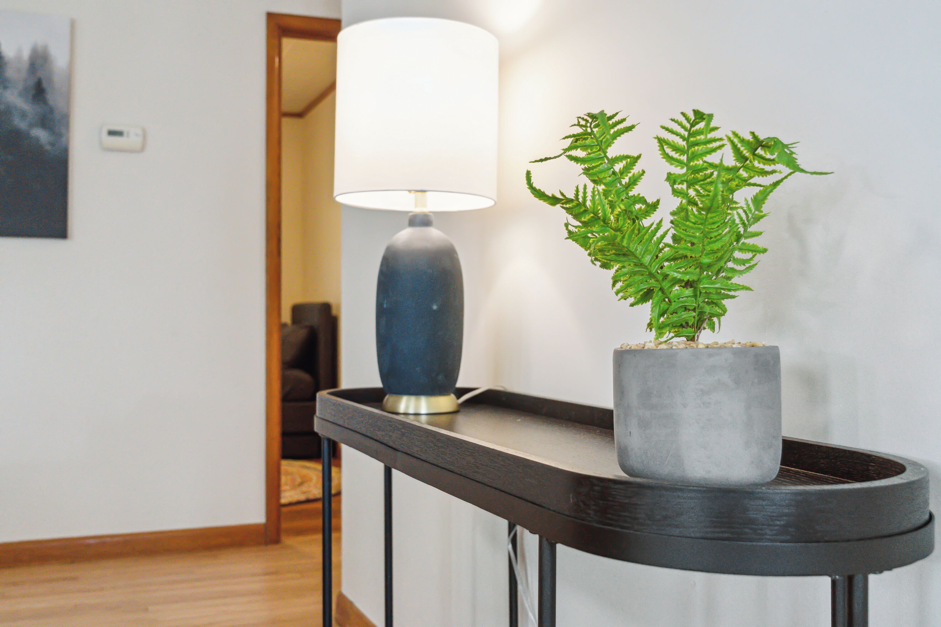 A hallway with a potted plant on a black tray, a lamp, and a door leading to another room.