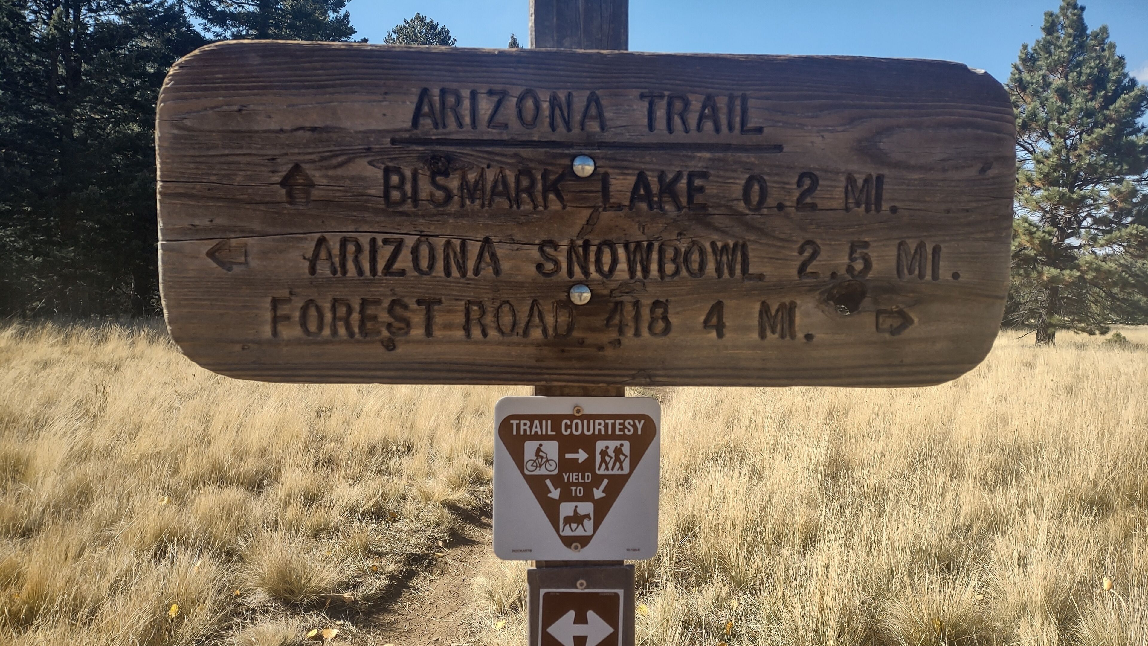 A wooden trail sign with directions to Bismark Lake, Arizona Snowbowl, and Forest Road.