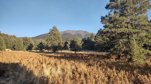 A field with dry grass and trees, a mountain in the background, and a clear sky. - Tiny house on the prairie with mountain views. (Flagstaff)