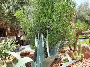 Exterior detail - Bungalows en Terre et Bois Traditionnels Dans un Jardin, Avec Piscine (Marrakech)