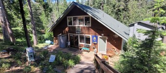 Beary Happy Cabin