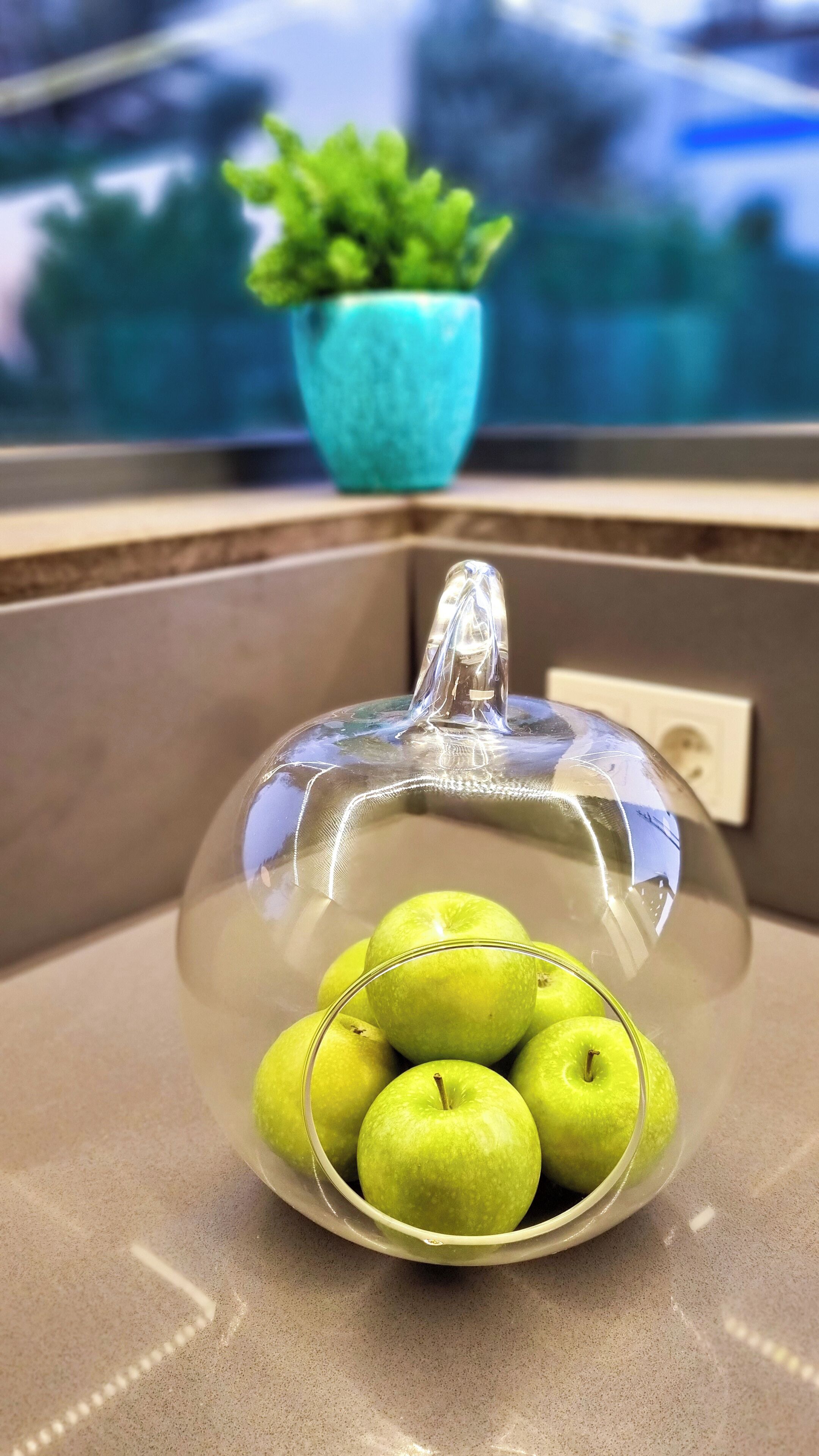 A glass dome containing green apples on a countertop.
