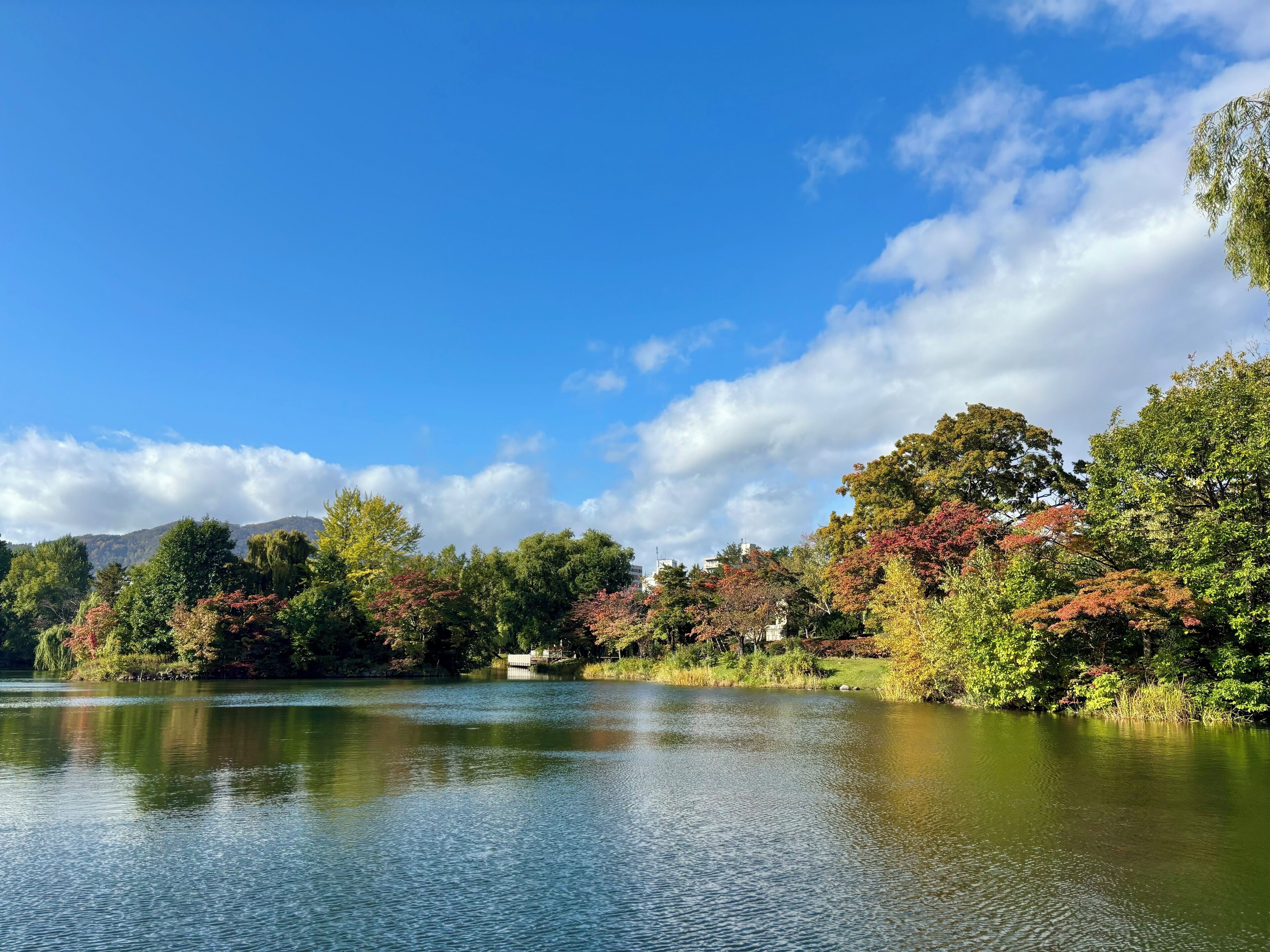 Foto - Courtyard by Marriott Sapporo