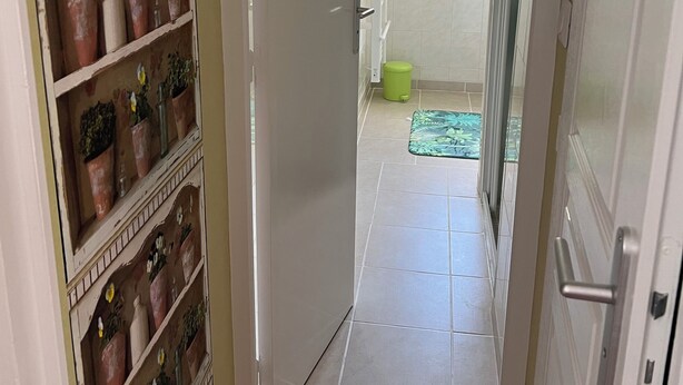 Un pasillo con una estantería de plantas en macetas, una puerta y un suelo de baldosas que conduce a un baño con ducha y un tapete verde.