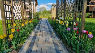 3 Familienhäuser Neben Einem Aussichtsturm und Labyrinth in Westpommern/polen
