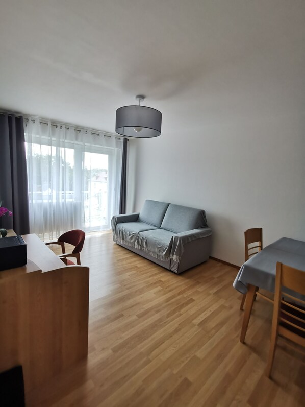 TV - Appartement Spacieux ,calme et Proche du Centre. Idéal Pour Visiter L'alsace (Mulhouse)