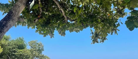 サンラウンジャー、ビーチタオル