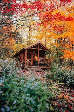 Exterior. Remote Lake Cabin, Boats Included, Shared Bath & Sauna