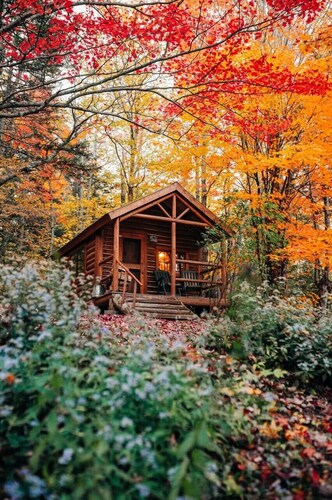 Remote Lake Cabin, Boats Included, Shared Bath & Sauna