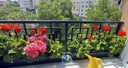 33' Coquette Apartment