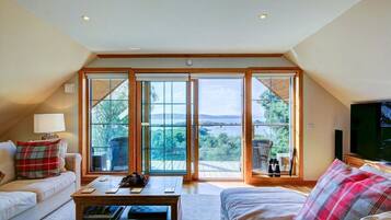 Smart TV, fireplace, DVD player, books