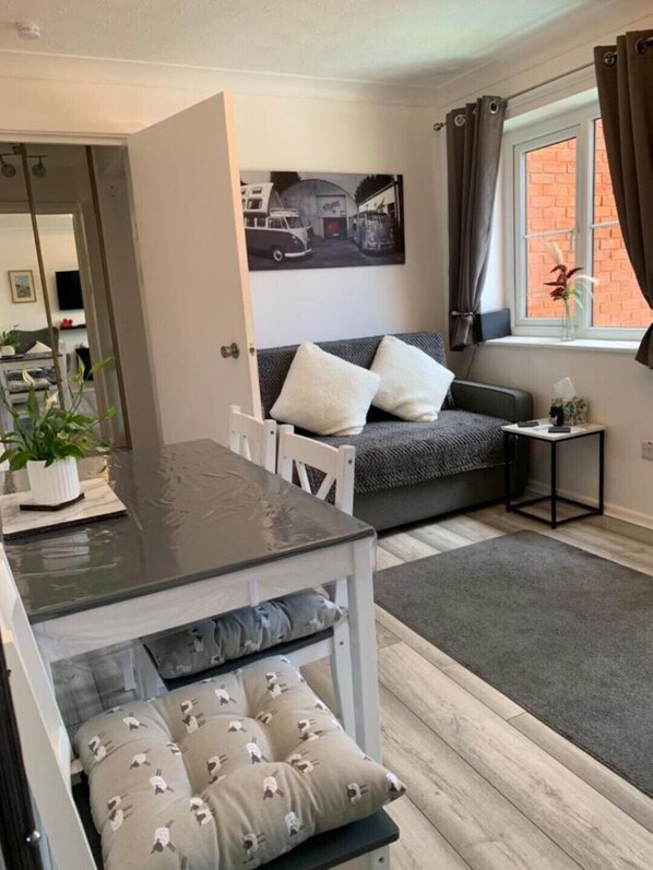 Smart TV, fireplace, DVD player, books